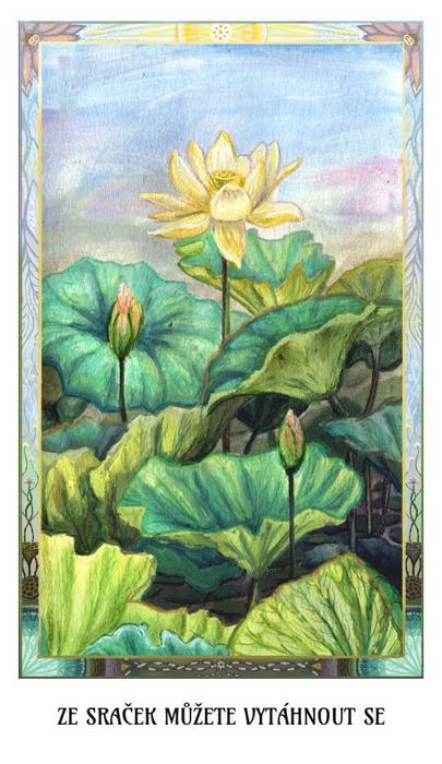 ze sraček můžete vytáhnout se}